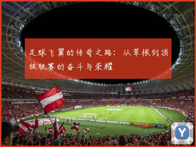 足球飞翼的传奇之路：从草根到顶级联赛的奋斗与荣耀