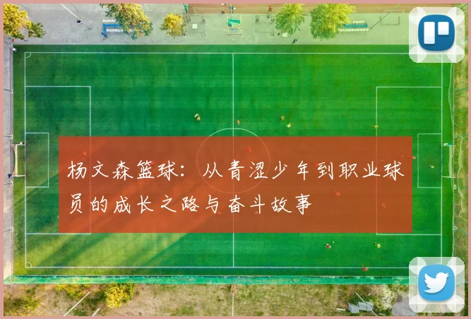 杨文森篮球：从青涩少年到职业球员的成长之路与奋斗故事