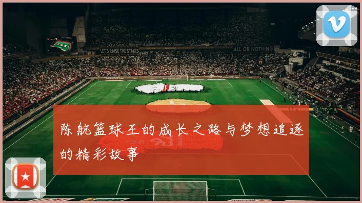 陈航篮球王的成长之路与梦想追逐的精彩故事