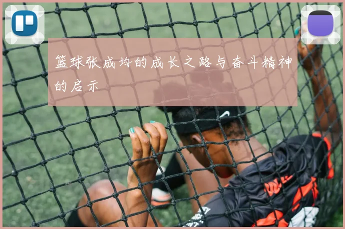 篮球张成均的成长之路与奋斗精神的启示