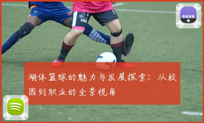 湖体篮球的魅力与发展探索：从校园到职业的全景视角
