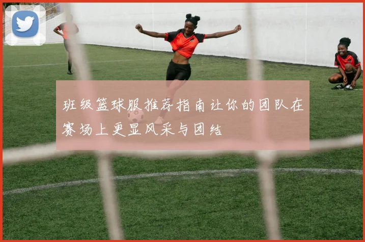 班级篮球服推荐指南让你的团队在赛场上更显风采与团结