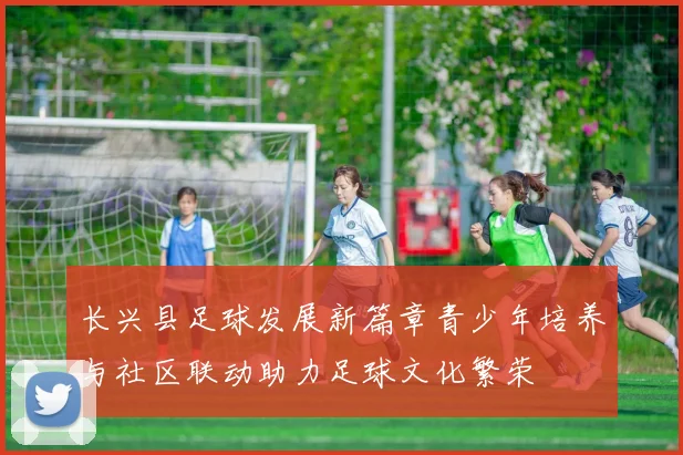 长兴县足球发展新篇章青少年培养与社区联动助力足球文化繁荣